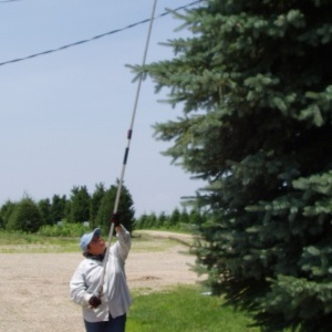 Pruning Equipment
