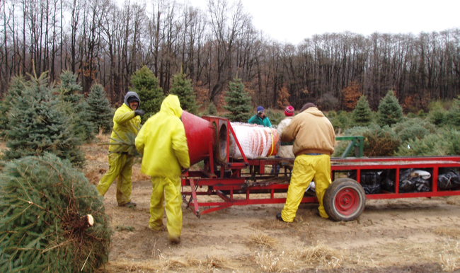 Tim B Harvest