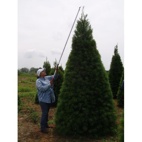 LA-190ZR315: ARS 6'-10' Extendable Long Arm Pruner, Super Trimmer Blade